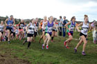Senior womens Start Fitness North Eastern Harriers League, Wrekenton, Gateshead. Photo:  David T. Hewitson/Sports for All Pics
